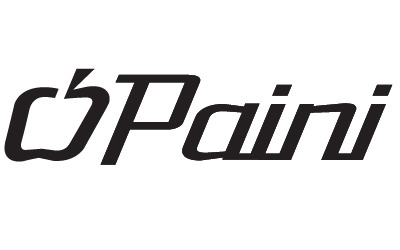Paini